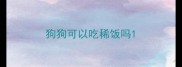 狗狗可以吃稀饭吗