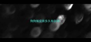 狗狗做疫苗多久有抗体
