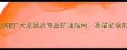 猫咪鼻头干燥发热的7大原因及专业护理指南养猫必读的详细解决方案