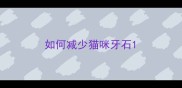 如何减少猫咪牙石