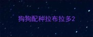狗狗配种拉布拉多