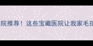 成都成华区宠物医院推荐这些宝藏医院让我家毛孩子健康又安心