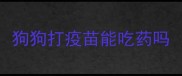 狗狗打疫苗能吃药吗