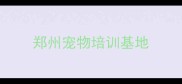 郑州宠物培训基地