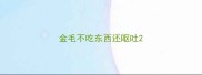金毛不吃东西还呕吐