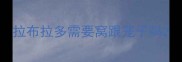拉布拉多需要窝跟笼子吗