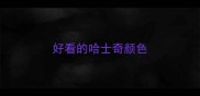 好看的哈士奇颜色