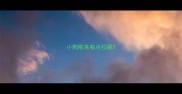小狗刚来有点拉稀