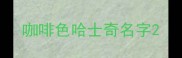 咖啡色哈士奇名字