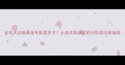 金毛犬训练最佳年龄是多大从幼犬到成犬的分阶段训练指南