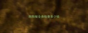 狗狗做全身检查多少钱
