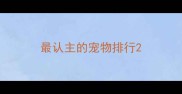 最认主的宠物排行