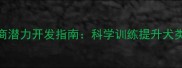 哈士奇智商潜力开发指南科学训练提升犬类认知能力