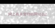网上有卖宠物的网站么