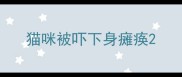 猫咪被吓下身瘫痪