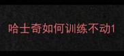 哈士奇如何训练不动