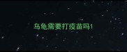 乌龟需要打疫苗吗
