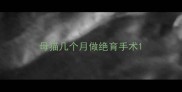 母猫几个月做绝育手术
