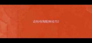 边牧母狗配种技巧