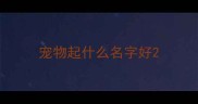 宠物起什么名字好