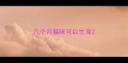 几个月猫咪可以生育