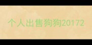 个人出售狗狗2017