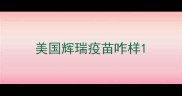 美国辉瑞疫苗咋样