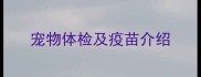 宠物体检及疫苗介绍