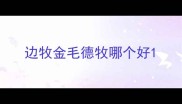 边牧金毛德牧哪个好