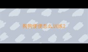 狗狗便便怎么训练