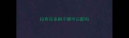 拉布拉多桃子硬可以配吗