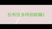 拉布拉多特别能睡