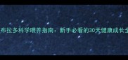 幼犬拉布拉多科学喂养指南新手必看的30天健康成长全攻略
