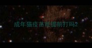 成年猫疫苗能提前打吗