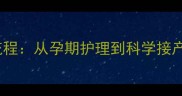 拉布拉多怀孕生产全流程从孕期护理到科学接产新手父母必读指南