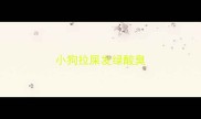 小狗拉屎发绿酸臭
