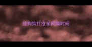 给狗狗打疫苗间隔时间