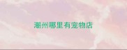 潮州哪里有宠物店