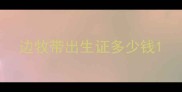 边牧带出生证多少钱