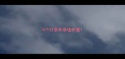 5个月茶杯泰迪体重