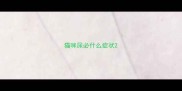 猫咪尿必什么症状