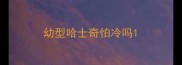 幼型哈士奇怕冷吗