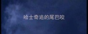 哈士奇追的尾巴咬
