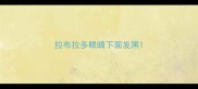拉布拉多眼睛下面发黑