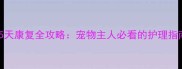 边牧细小病毒5天康复全攻略宠物主人必看的护理指南与预防措施