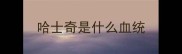 哈士奇是什么血统