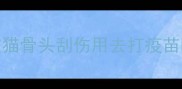 被猫骨头刮伤用去打疫苗吗