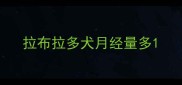 拉布拉多犬月经量多