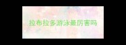 拉布拉多游泳最厉害吗