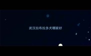 武汉拉布拉多犬哪家好
